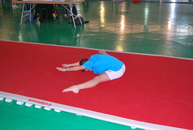 La Gimnasia Artística Masculina alza el telón